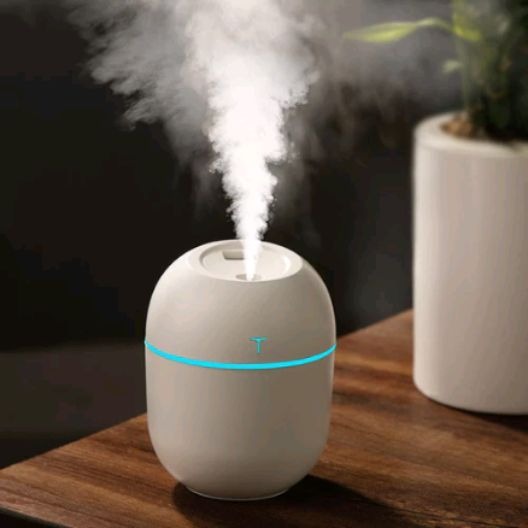 Best Mini Humidifier for Room & Car